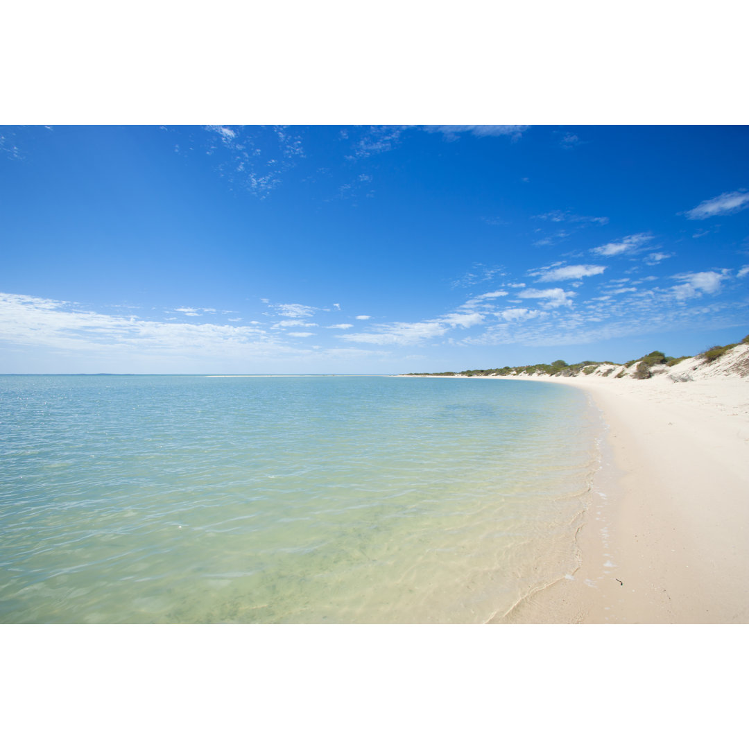 Strand des Affen Mia von Jan-Otto - Leinwandbild