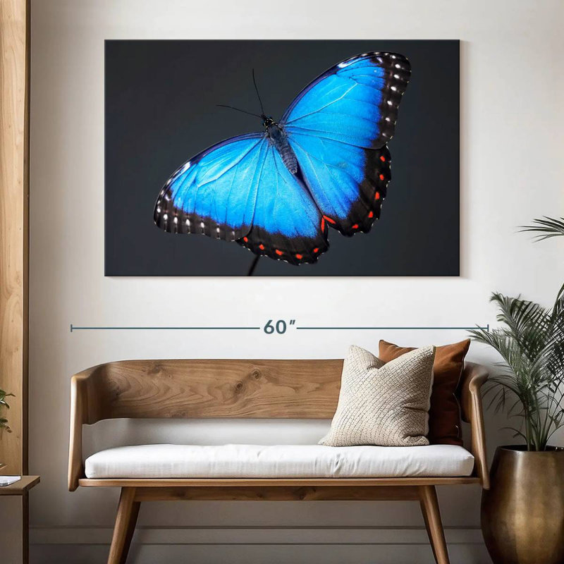 Brampt Blue Morpho Butterfly, 34" H x 51" W