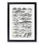 Study of Reptiles by Oliver Goldsmith - Framed Print-55727483-55727484