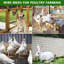 48 cm H x 100 cm W with 1 Panel(s) Included-132200724