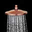 Pomme de douche BathSelect