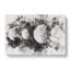 Moons Of Jupiter - Wrapped Canvas Print-56658544