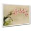 Magnolia Flowers Illustration Tab. 5 by Frederick Sander - Wrapped Canvas Art - Wrapped Canvas-55365417
