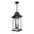 Horwitz 3-Light Outdoor Hanging Lantern