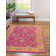 Oriental Indoor Rug