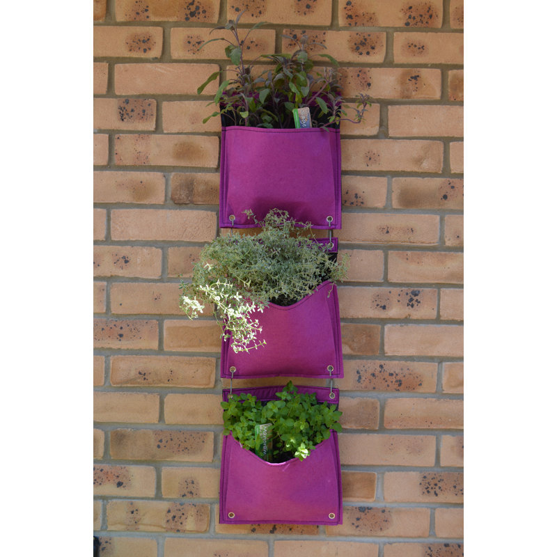 LosPalmos Wall Planter, Purple