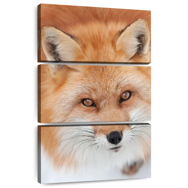 Brampt Fluffy Red Fox, 32" H x 20" W