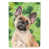 Bouledogue français brun clair