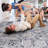 Non-Shedding Grey/Blue Area Rug - Stain , For Living Room, Nursery, Study Ideal High-Traffic Areas, Non-Shedding,-150102178