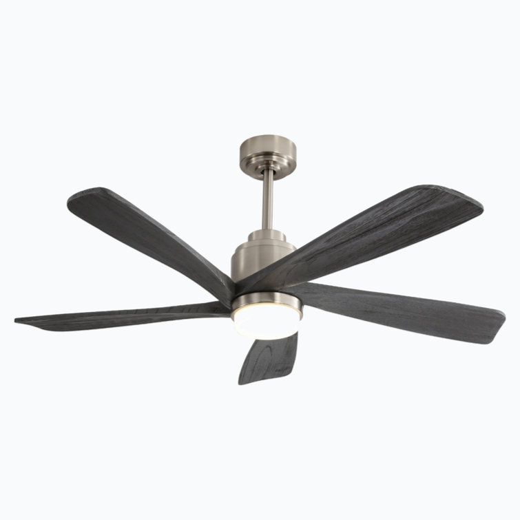 Lashyra 25.9'' Ceiling Fan with LED Lights