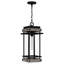 Franciane 1-Light Matte Black Mini Pendant Light
