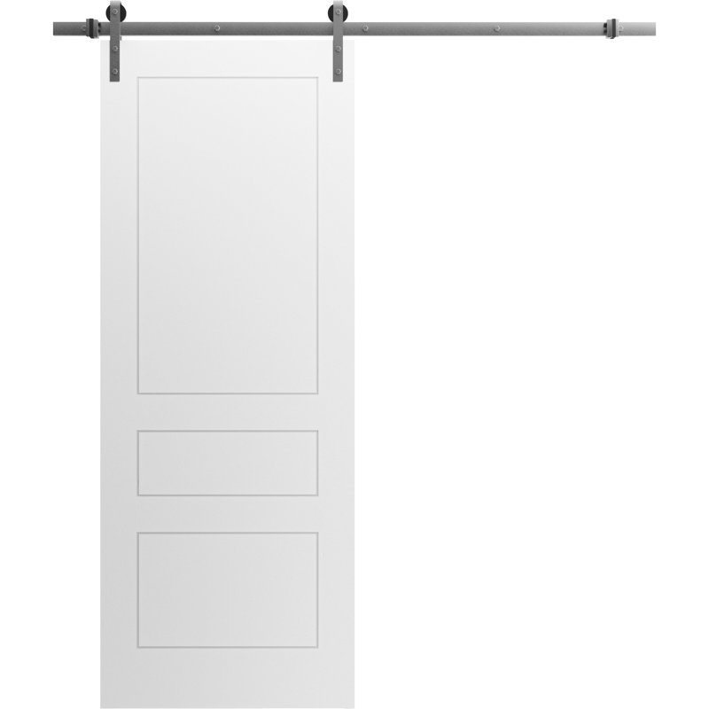 Porte de grange en bois, 28 po x 96 po