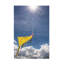 Art sur toile, rouleau de Kites-105644495