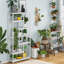 200 cm H x 100 cm W Standard Bookcase-276103043