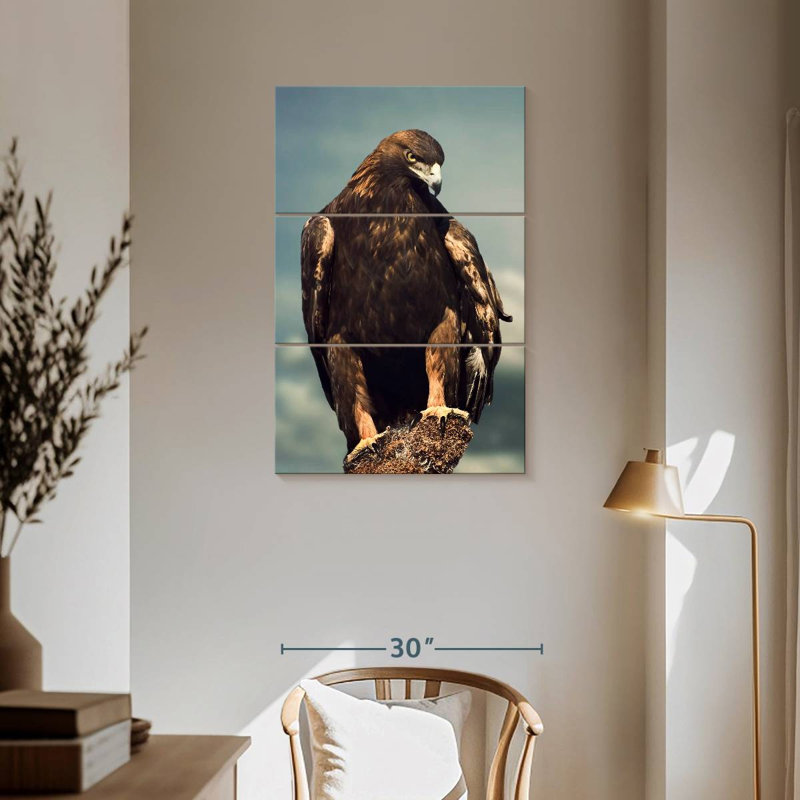 Aigle royal royal, H 57 po x l 36 po