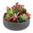 Indoor Round Flower Cement Planter Pot