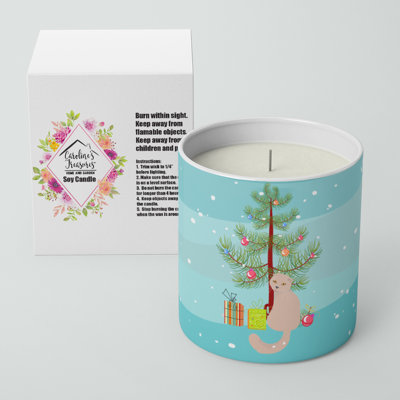 Pine / Christmas Tree Scented Jar Candle with Ceramic Holder