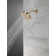 Multi Function Fixed Shower Head