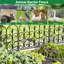 Fence Panels-116074013