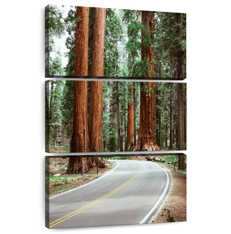 Mehar Sequoia Highway, 65" H x 42" W