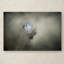 «Little Toufted Titmouse» de Vidur, impression sur toile tendue-22070702