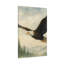 Aaroon Single Picture Frame Print on Canvas-867935379