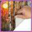 Birch Trees Sunset Bath Mat-1563805450
