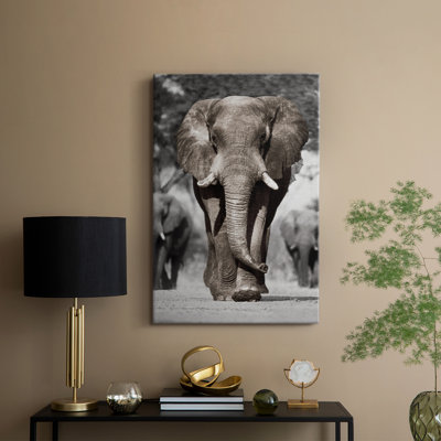 Botswana Patriarch -Gallery Wrapped Cavas