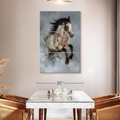 Brampt brumeux Appaloosa