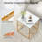 Stoilana Glass Top Coffee Table
