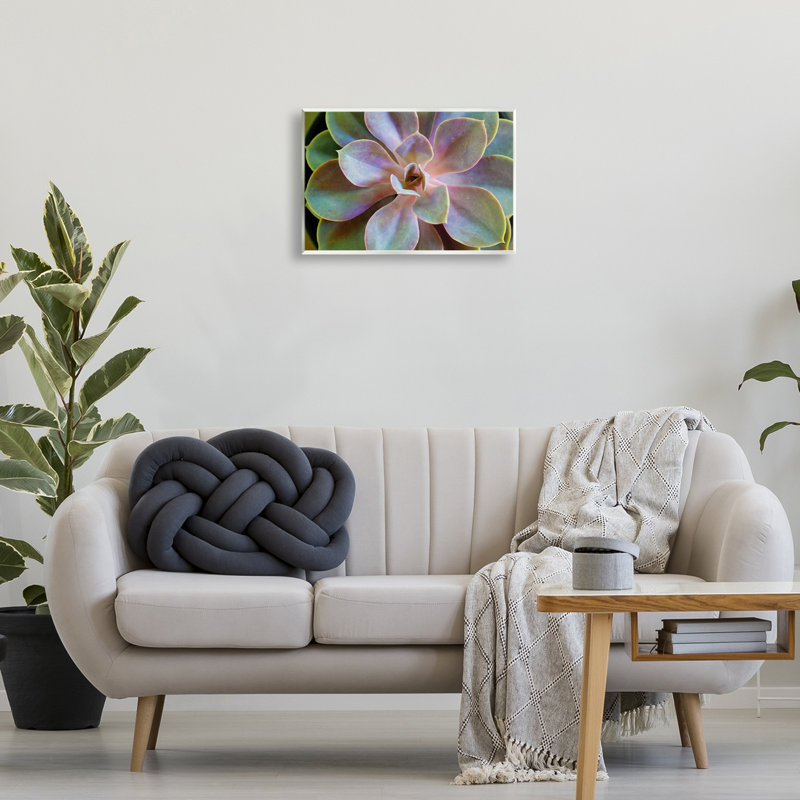«Blooming Succulent Leaves» par Susan Bryant, H 13 po x l 19 po