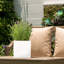 Planter Box-616968742-616968465