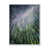 White Floater Frame Canvas
