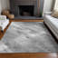 Tapis gris intérieur / extérieur lavable à la machine Claudian ACN1537-109536190