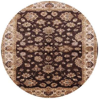 Hampartsum Oriental Indoor Rug