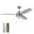 Brushed Nickel selected
