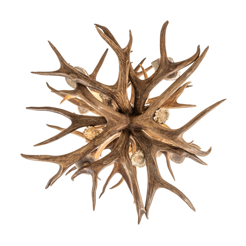 Rustic Lodge 6 - Light Chandelier