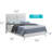 Chataignier Vegan Leather Standard Bed-24735659-48095375