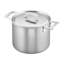 Demeyere Industry 5-Ply 8.45-qt Stainless Steel Stock Pot