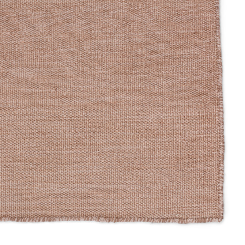 Tapis intérieur / extérieur brun clair tissé à la main Burkett, Rectangle 4 pi x 6 pi