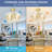 Caelean 4 - Light Crystal Tiered Chandelier