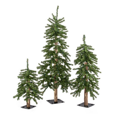 Sparkling Forest 4' Lighted Pine Christmas Tree with Realistic Needles