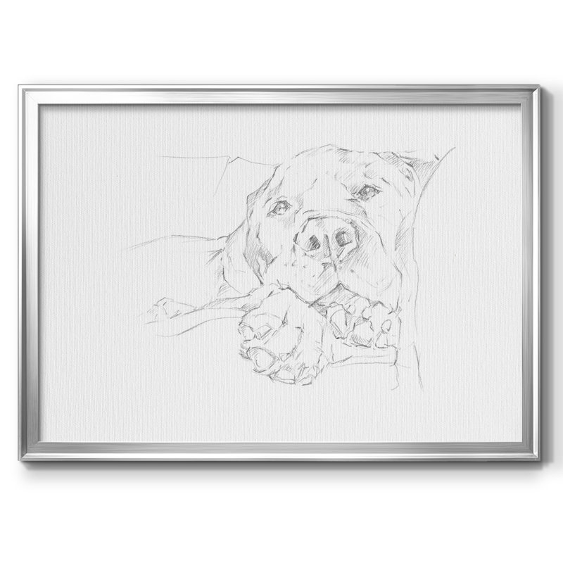 Lazy Dog I, reproduction d'art sur toile, H 14 po x l 20 po x P 1,5 po, Argent