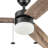 Elamin 48'' Ceiling Fan with LED Lights