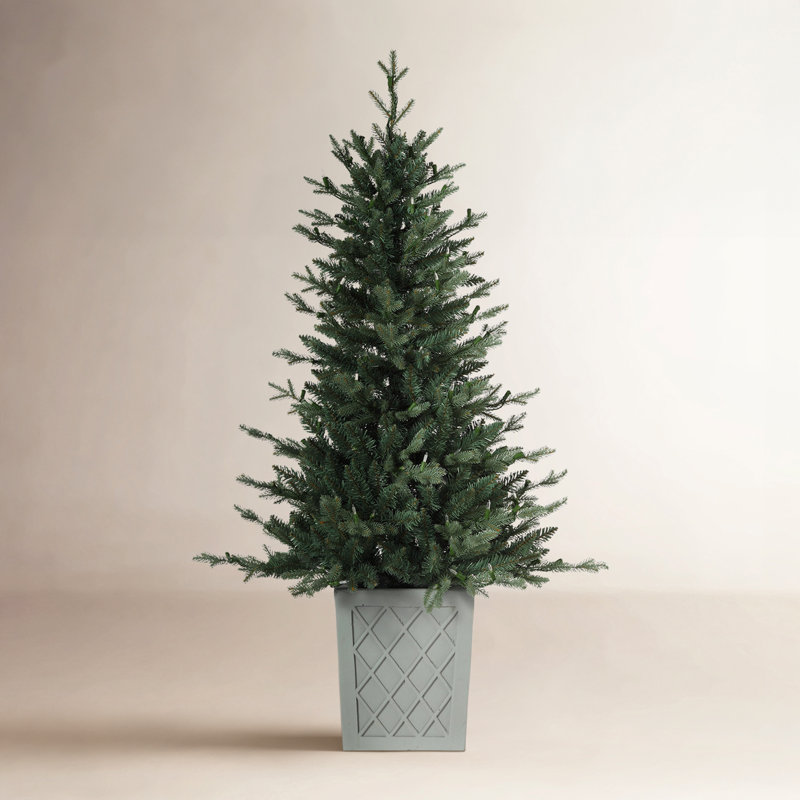 54' Lighted Christmas Tree