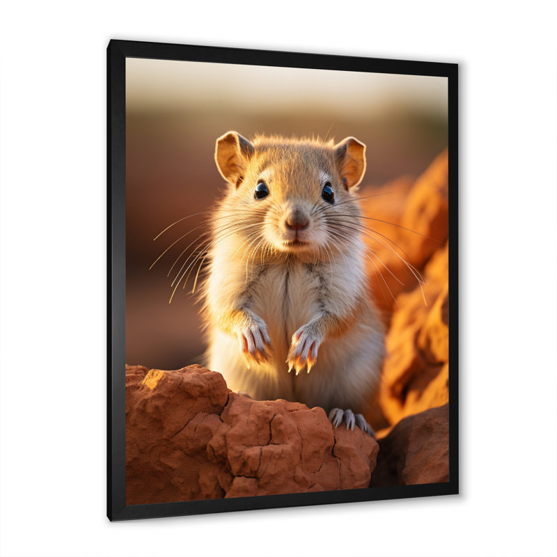 Décoration murale petits rongeurs - animaux, H 32 po x l 24 po x P 1 po, Cadre photo noir