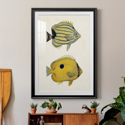 " Yellow & Grey Fish III "