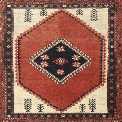 Southwestern Indoor Rug