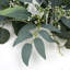 Artificial Eucalyptus Wreath – Green With White Flowers – 15-Inch, Spring/Summer Home Decor For Door, Wall, Or Window