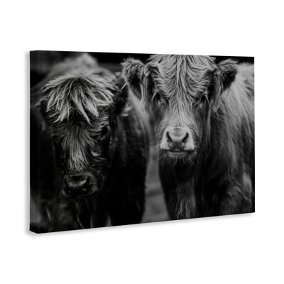 Cow Faces on Farm Canvas, design by Amy Carroll